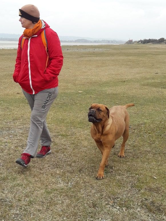 En balades
